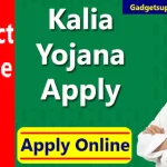 Kalia Yojana Registration 2022 : Check Status, District & Village wise List