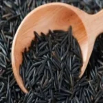 UP black rice : ब्लैक चावल, काफी मशहूर है, क्या कभी आपने देखा है, इसकी खासियत लाभ जान रह जाएंगे दंग
