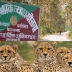 Cheetah pariyojana 2022 : नरेंद्र मोदी के जन्मदिन पर शिलान्यास किया जाएगा ,क्या है चिता परियोजना