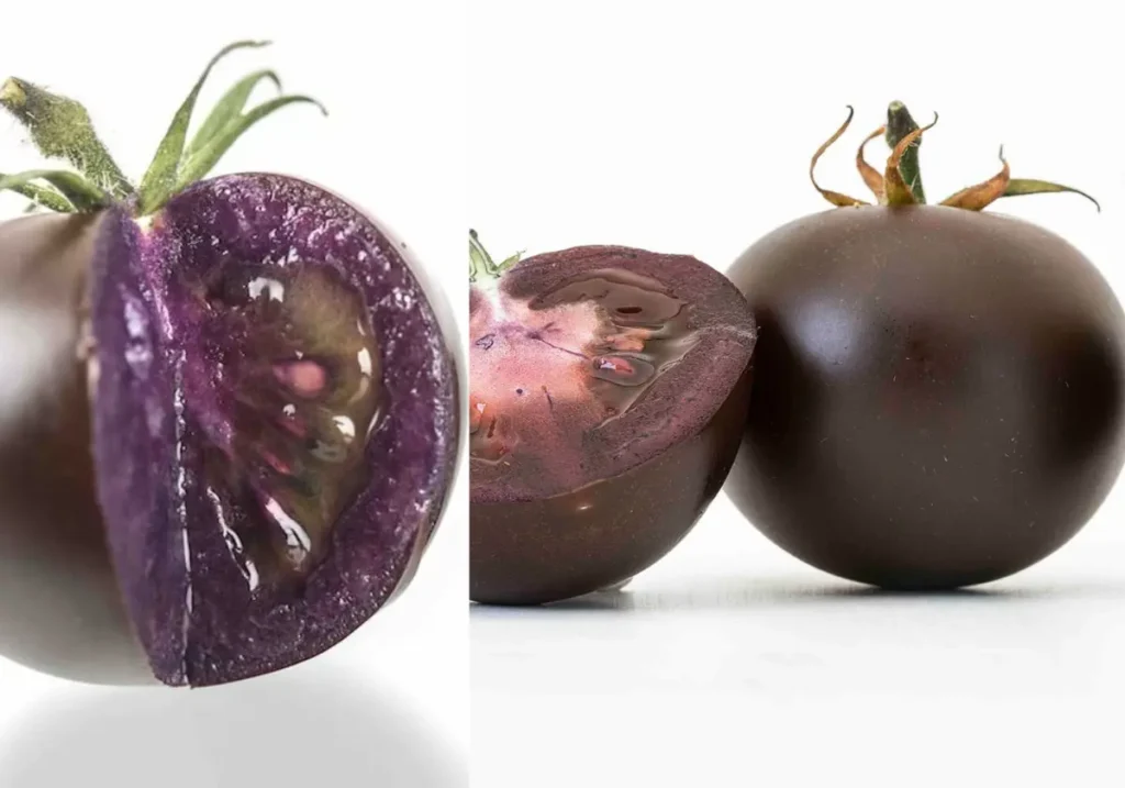 Purple Tomatoes 2023